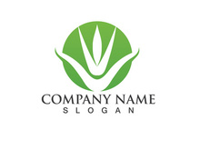 Aloe vera logo vector ilustration template