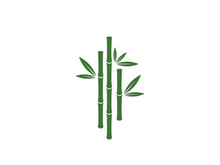 Bamboo vector icon illustration
