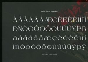 Orcars | Classic Serif Font