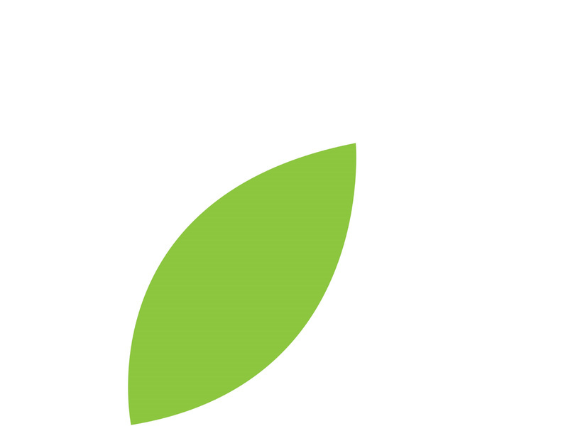 Leaf logo vector icon design template