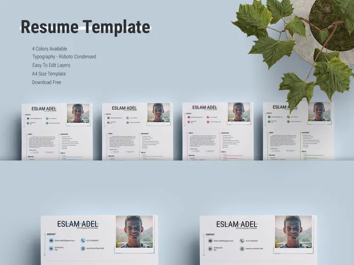 RESUME TEMPLATE