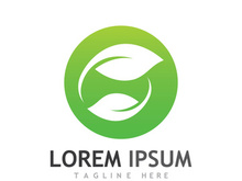Natural green leaf logo design.