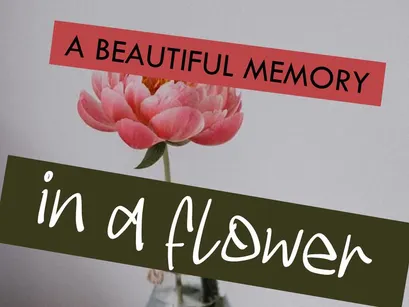 ADHAESS – Modern Casual Handwritten Font (OTF)