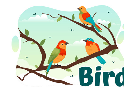 11 Bird Animal Vector Illustration