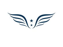 Wing Logo Template vector icon