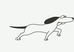 Continue with the dogs