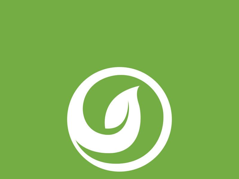 Leaf logo green nature vector image