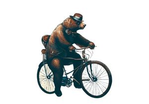 Vintage Bear riding a bike in floral countryside road, isolated in white background.
