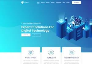 Free SaaS It Expert – One Page Agency Landing Page