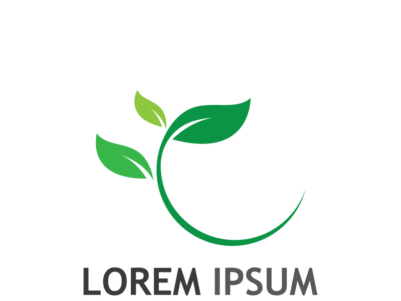 Natural green leaf logo design.
