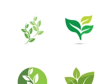 Logos of green tree leaf ecology nature element vector