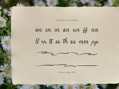 Yinderia | Handwritten Vintage Script