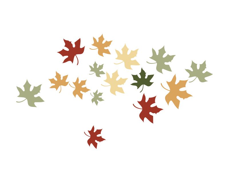 Maple Leaf design illustration