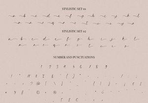 The Angellica - Modern Calligraphy Font