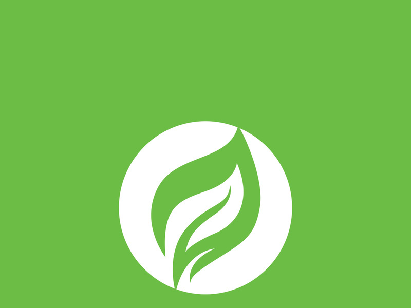 Leaf logo green nature vector image