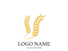Wheat logo vector icon illustration design