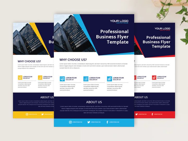 Professional Business Flyer