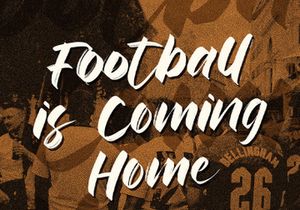 Rinjany - Textured Brush Font