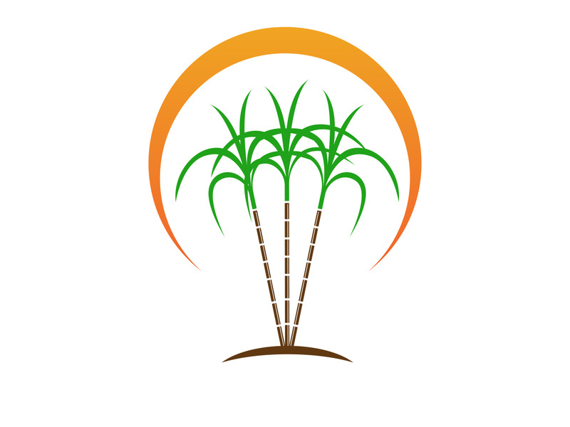 Sugar cane logo design vector 5880737 Vector Art at Vecteezy