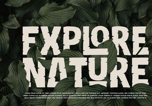 Reliction - Display Font