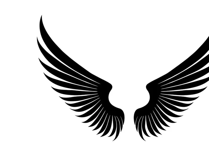 black bird wing logo vector