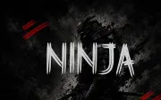 BAVDAK – Brutal Brush Display Font