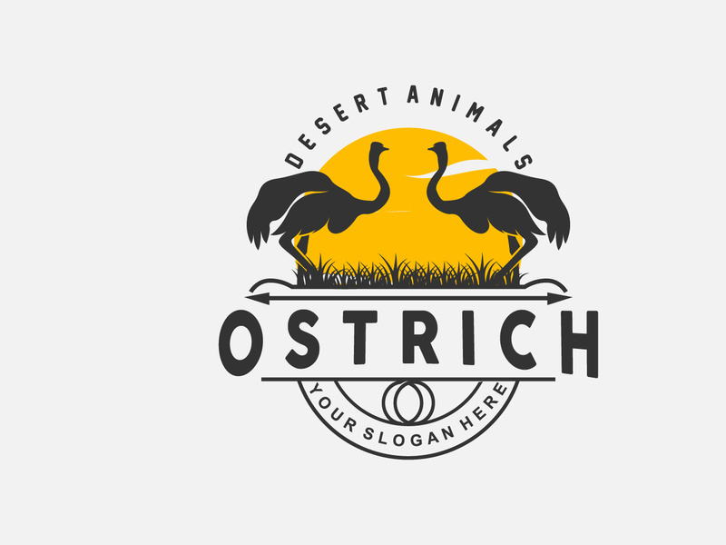 Ostrich Logo Design, Desert Animal Illustration
