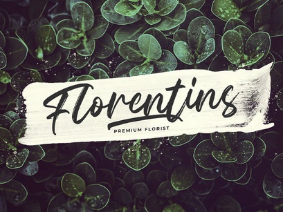 Celline Fram - Textured Brush Font