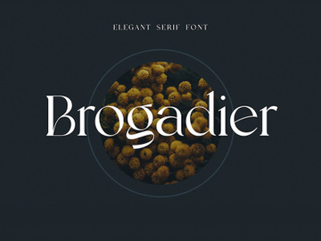Brogadier Elegant Serif Font preview picture