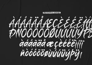 Amorim Santos | Solid Hand Drawn Brush