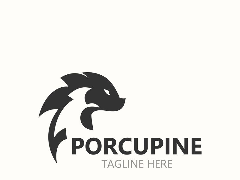 Porcupine logo design. animal vintage minimalist logo Hedgehog modern template icon