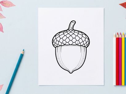 Close-up of an acorn with textured cap and smooth nut. Nature-inspired design element for autumn themes.