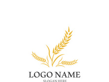 Wheat logo vector icon illustration design