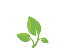 Logos of green tree leaf ecology nature element vector