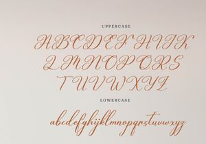Celtaniya Bioffany | Calligraphy Script