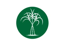 Sugarcane logo vectcr