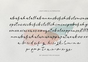 Burgiento | Modern Signature Script