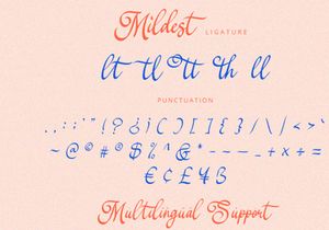 Mildest - Script Font