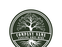 Root Leaf Family Tree of Life Oak Banyan Maple Stamp Seal Emblem Label logo design vector