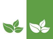 Logos of green tree leaf ecology nature element vector