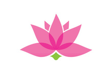 Stylized lotus flower icon vector