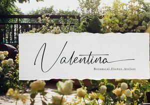 Sesillion | Classic Signature Script