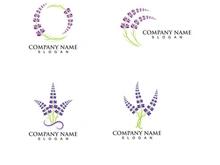 Fresh Lavender flower logo vector flat
