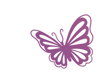 Butterfly, SVG Vector Illustration