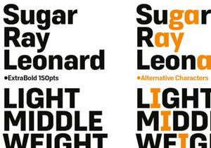 Duran - Type Family + FREE Weights
