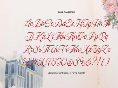 Royal Kaynin | Classic Elegant Script