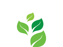 leaf logo green ecology nature element vector image