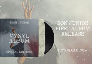 Revij Anovik - Decorative Serif Font