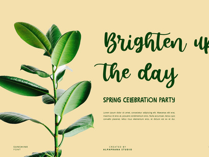 Sunshine - Script Font