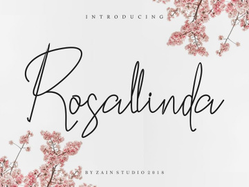 Rosallinda preview picture
